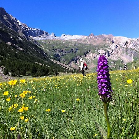 Hostel-Albergue Monte Perdido ตอร์ลา ภายนอก รูปภาพ