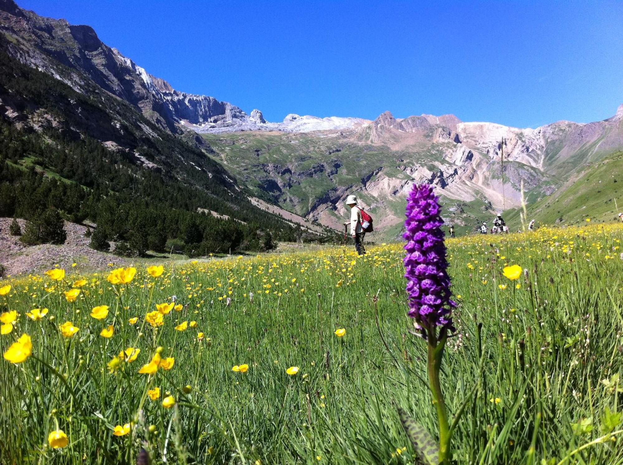 Hostel-Albergue Monte Perdido ตอร์ลา ภายนอก รูปภาพ